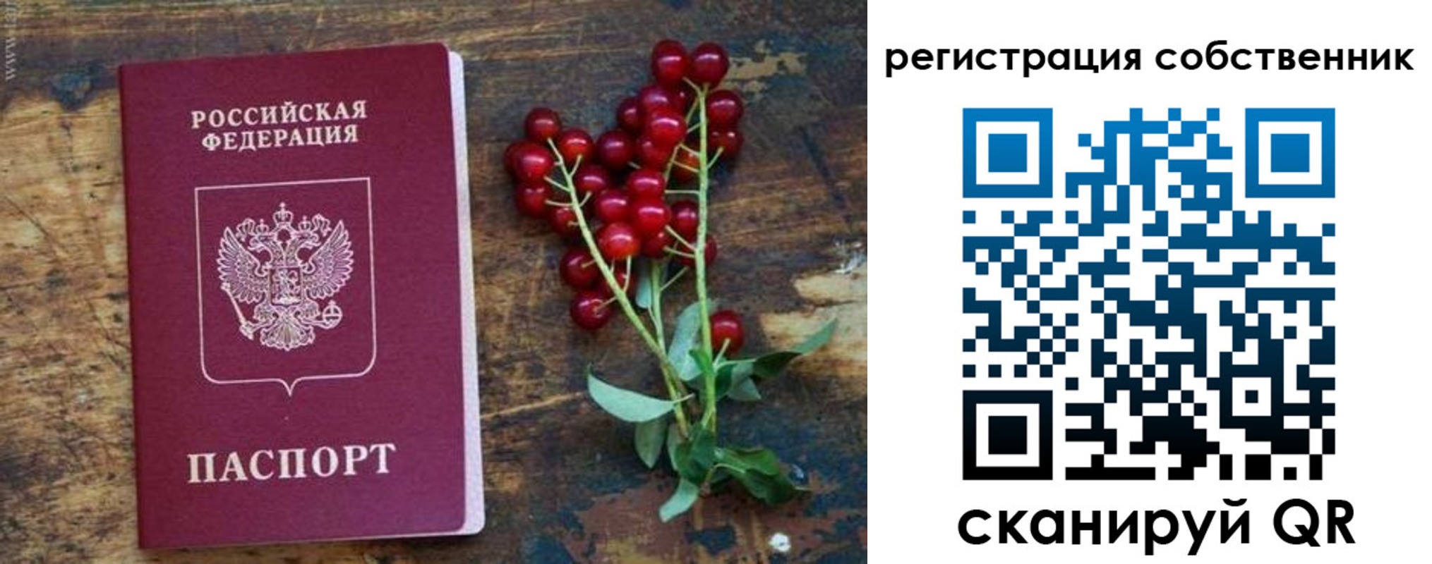 регистрация для дет. сада в Коркино